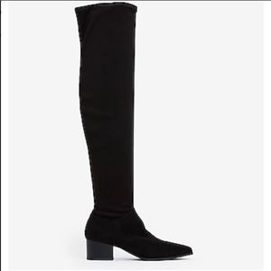 NWOT EXPRESS OTK ridding Boots